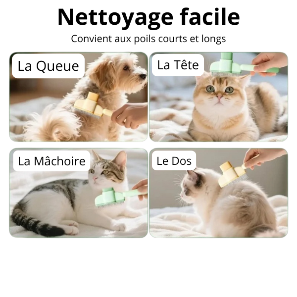 Brosse anti-poil Nuvra